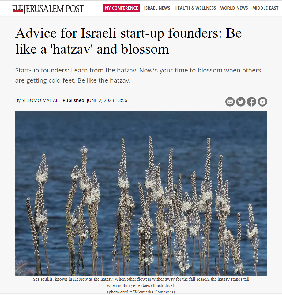 עצה למייסדי סטארט-אפים ישראלים: להיות כמו 